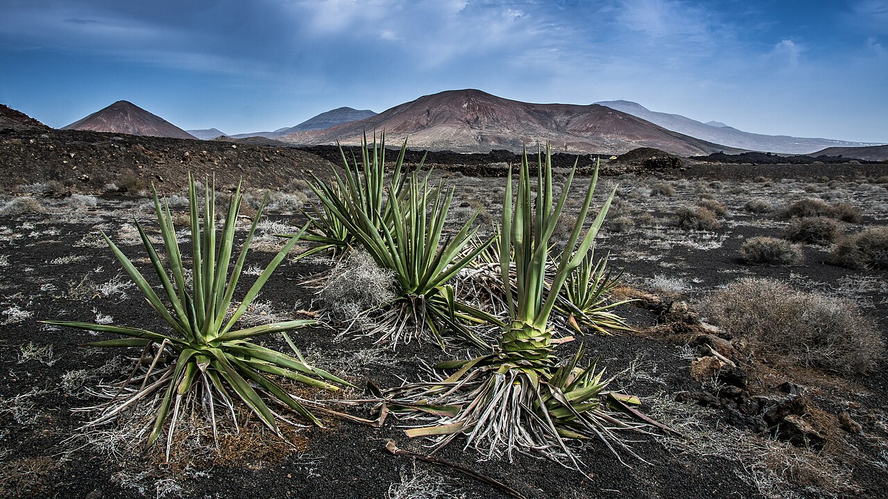 Layered volcanic landscape on Lanzarote in the Canary Islands